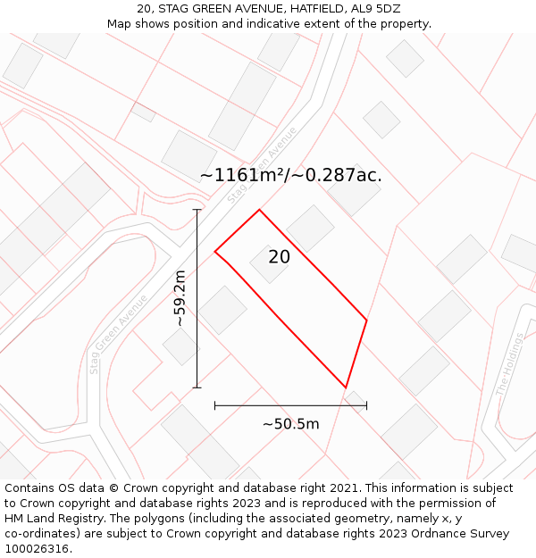 20, STAG GREEN AVENUE, HATFIELD, AL9 5DZ: Plot and title map