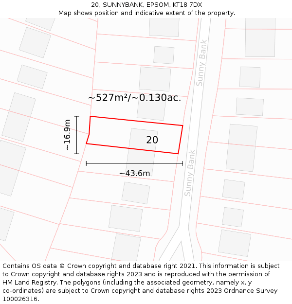 20, SUNNYBANK, EPSOM, KT18 7DX: Plot and title map