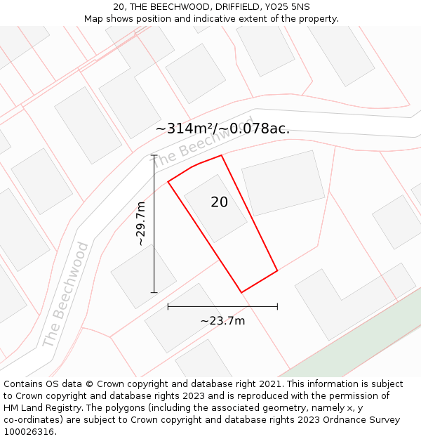 20, THE BEECHWOOD, DRIFFIELD, YO25 5NS: Plot and title map