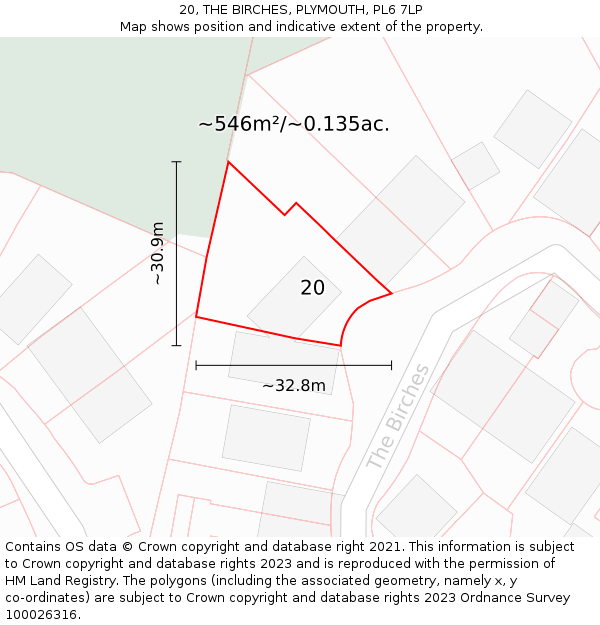 20, THE BIRCHES, PLYMOUTH, PL6 7LP: Plot and title map