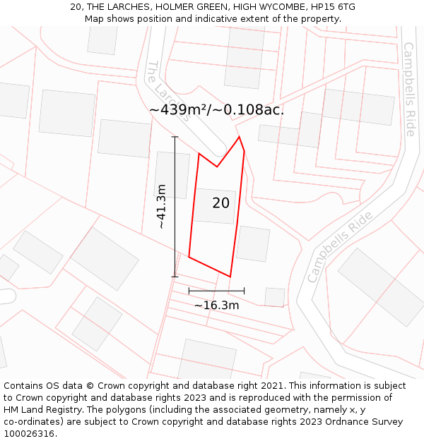 20, THE LARCHES, HOLMER GREEN, HIGH WYCOMBE, HP15 6TG: Plot and title map