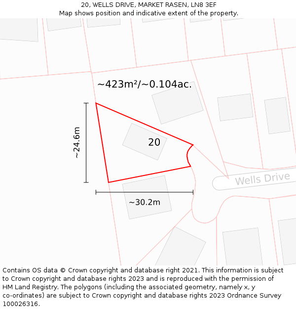 20, WELLS DRIVE, MARKET RASEN, LN8 3EF: Plot and title map