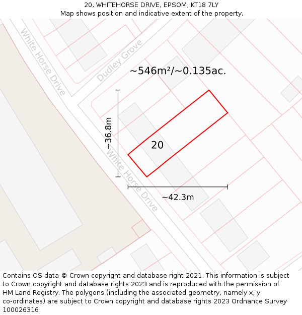 20, WHITEHORSE DRIVE, EPSOM, KT18 7LY: Plot and title map