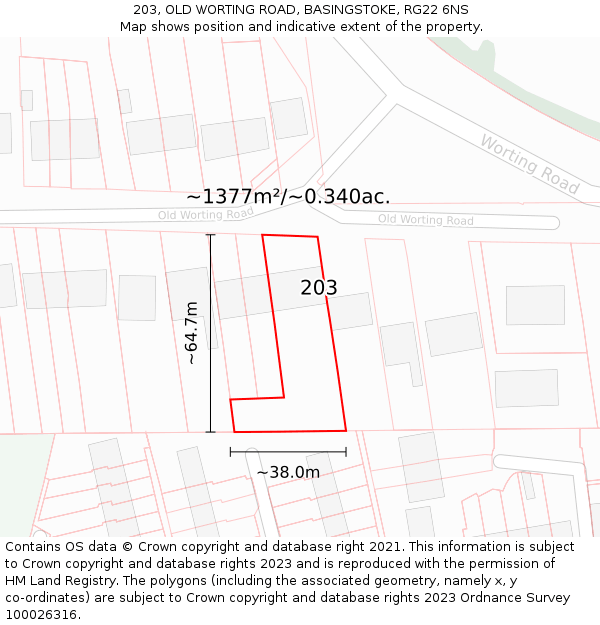 203, OLD WORTING ROAD, BASINGSTOKE, RG22 6NS: Plot and title map