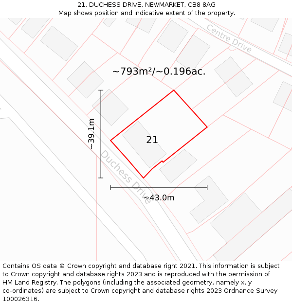 21, DUCHESS DRIVE, NEWMARKET, CB8 8AG: Plot and title map