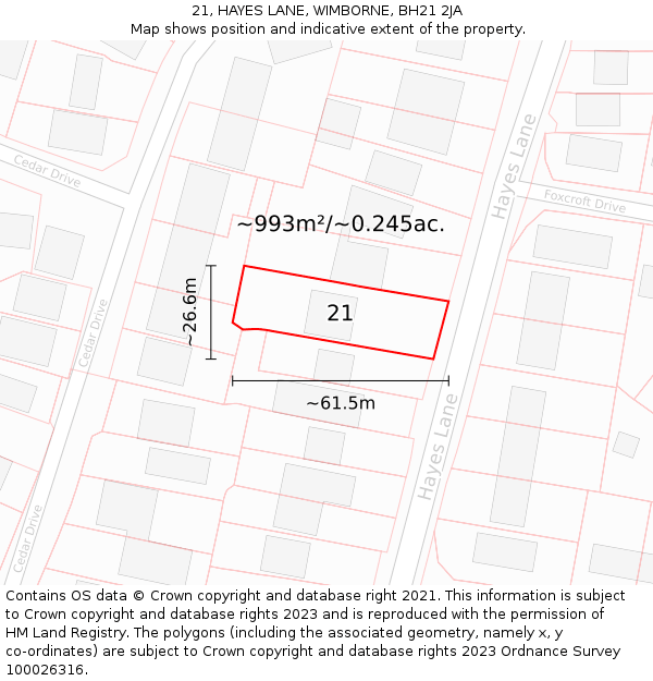 21, HAYES LANE, WIMBORNE, BH21 2JA: Plot and title map