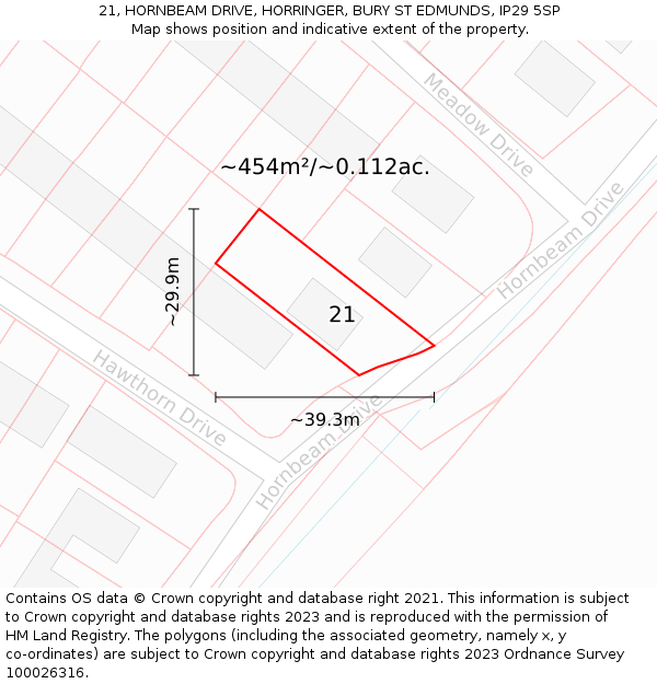 21, HORNBEAM DRIVE, HORRINGER, BURY ST EDMUNDS, IP29 5SP: Plot and title map