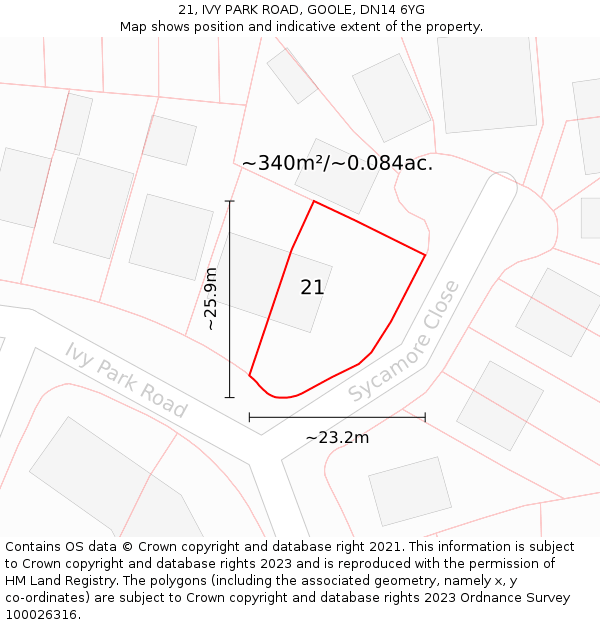 21, IVY PARK ROAD, GOOLE, DN14 6YG: Plot and title map