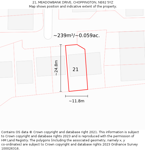 21, MEADOWBANK DRIVE, CHOPPINGTON, NE62 5YZ: Plot and title map