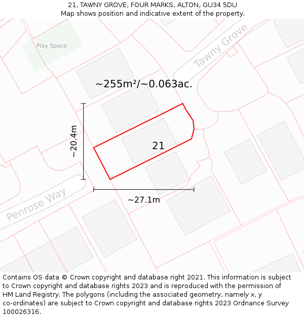 21, TAWNY GROVE, FOUR MARKS, ALTON, GU34 5DU: Plot and title map