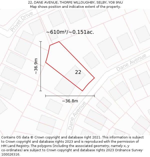 22, DANE AVENUE, THORPE WILLOUGHBY, SELBY, YO8 9NU: Plot and title map