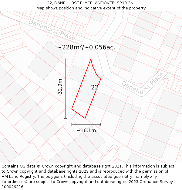 22, DANEHURST PLACE, ANDOVER, SP10 3NL: Plot and title map