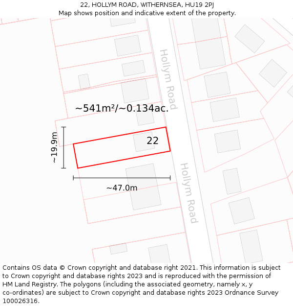 22, HOLLYM ROAD, WITHERNSEA, HU19 2PJ: Plot and title map