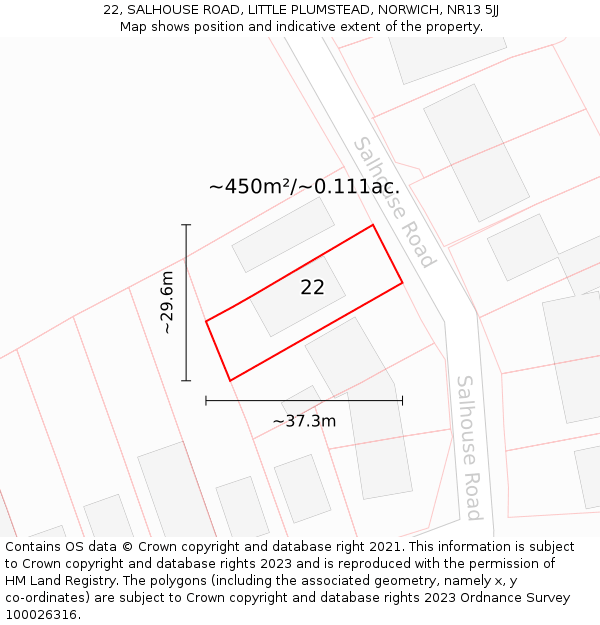 22, SALHOUSE ROAD, LITTLE PLUMSTEAD, NORWICH, NR13 5JJ: Plot and title map