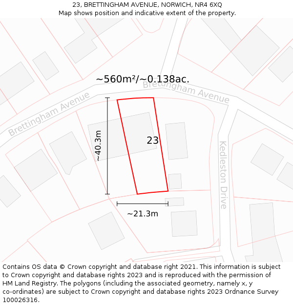 23, BRETTINGHAM AVENUE, NORWICH, NR4 6XQ: Plot and title map