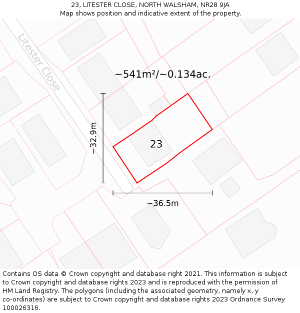 23, LITESTER CLOSE, NORTH WALSHAM, NR28 9JA: Plot and title map