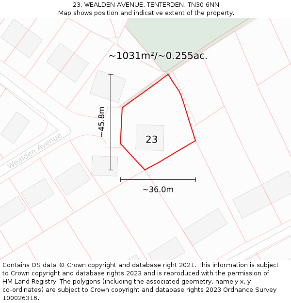 23, WEALDEN AVENUE, TENTERDEN, TN30 6NN: Plot and title map