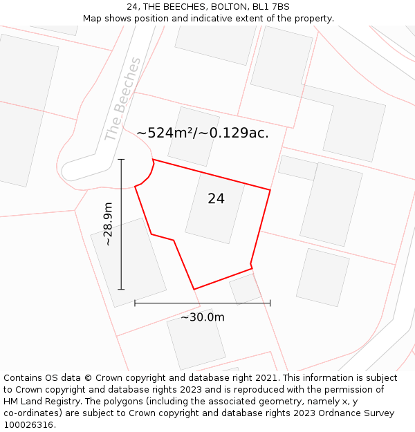 24, THE BEECHES, BOLTON, BL1 7BS: Plot and title map