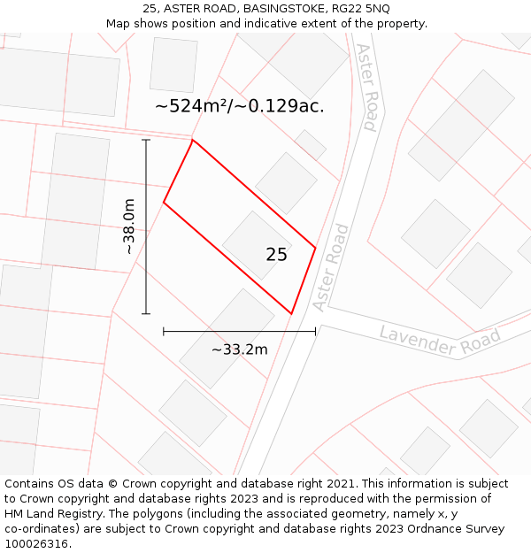 25, ASTER ROAD, BASINGSTOKE, RG22 5NQ: Plot and title map