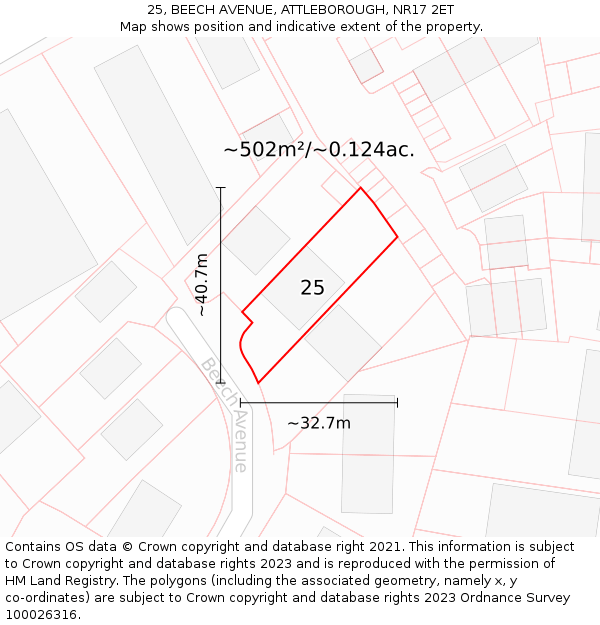 25, BEECH AVENUE, ATTLEBOROUGH, NR17 2ET: Plot and title map