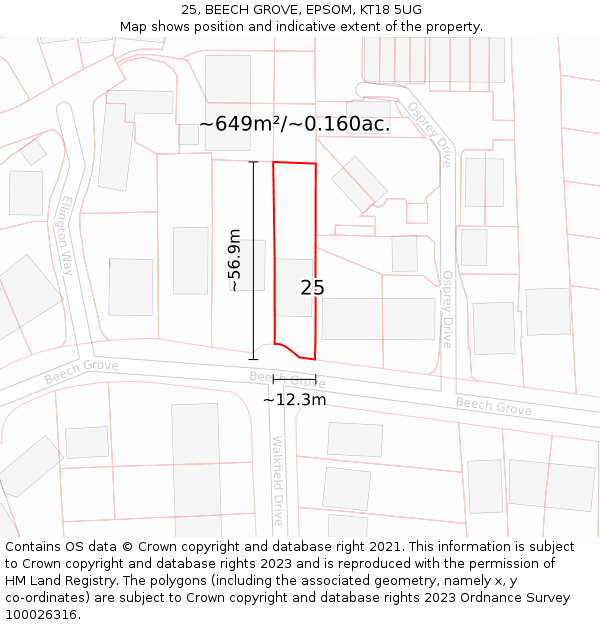 25, BEECH GROVE, EPSOM, KT18 5UG: Plot and title map