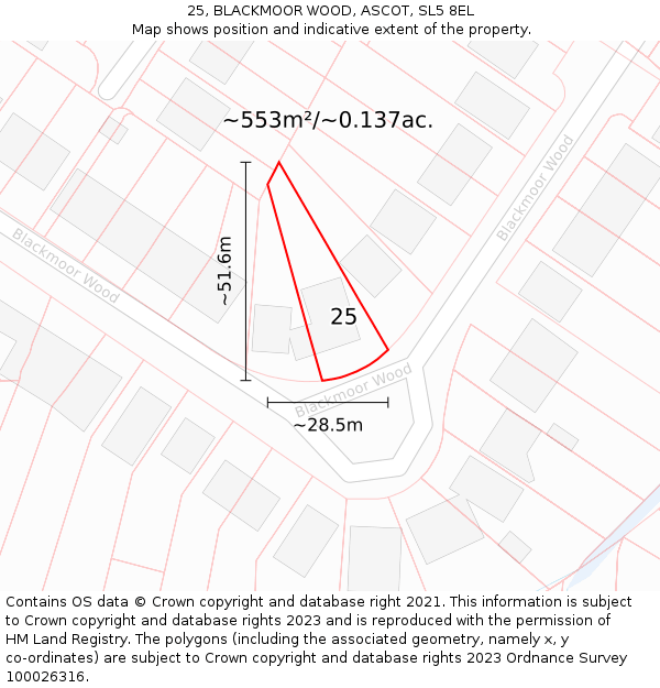 25, BLACKMOOR WOOD, ASCOT, SL5 8EL: Plot and title map