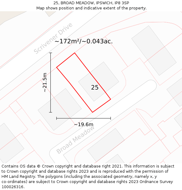 25, BROAD MEADOW, IPSWICH, IP8 3SP: Plot and title map