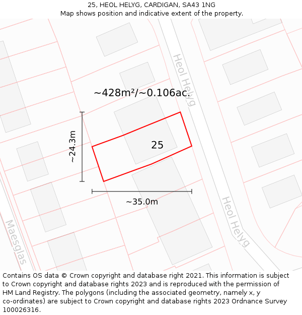 25, HEOL HELYG, CARDIGAN, SA43 1NG: Plot and title map