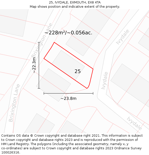 25, IVYDALE, EXMOUTH, EX8 4TA: Plot and title map