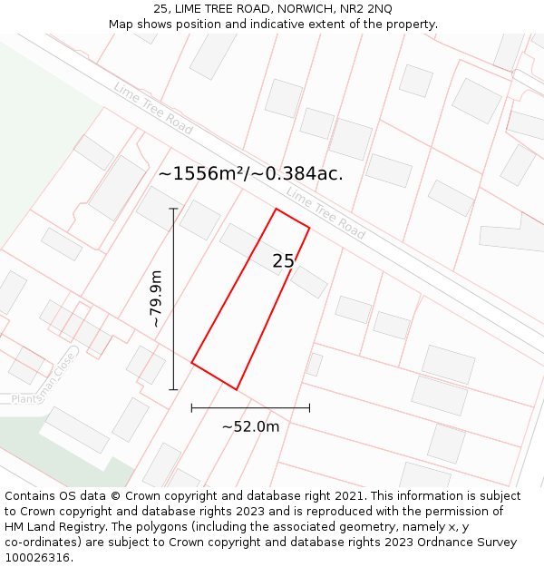 25, LIME TREE ROAD, NORWICH, NR2 2NQ: Plot and title map