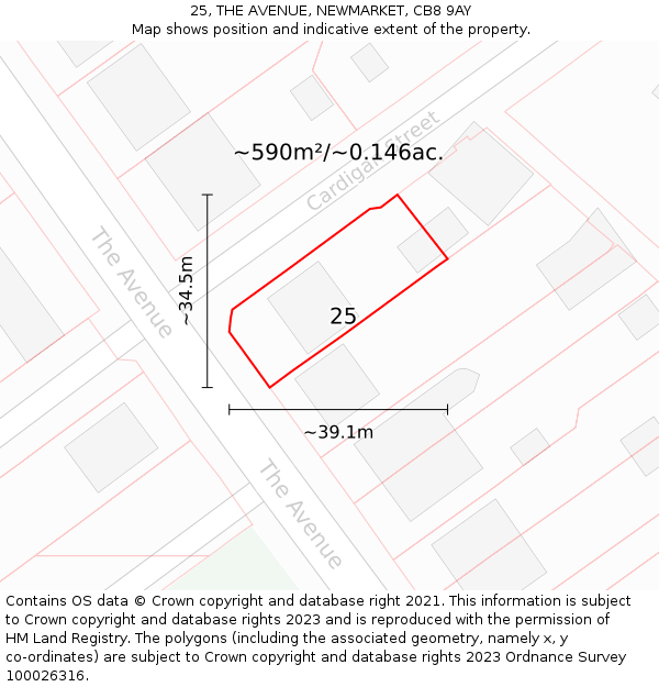 25, THE AVENUE, NEWMARKET, CB8 9AY: Plot and title map