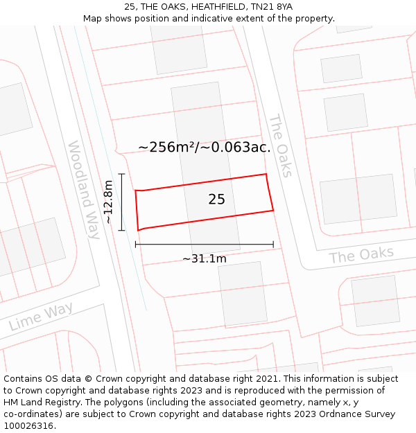 25, THE OAKS, HEATHFIELD, TN21 8YA: Plot and title map