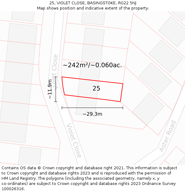 25, VIOLET CLOSE, BASINGSTOKE, RG22 5NJ: Plot and title map