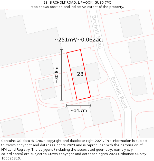 28, BIRCHOLT ROAD, LIPHOOK, GU30 7PQ: Plot and title map