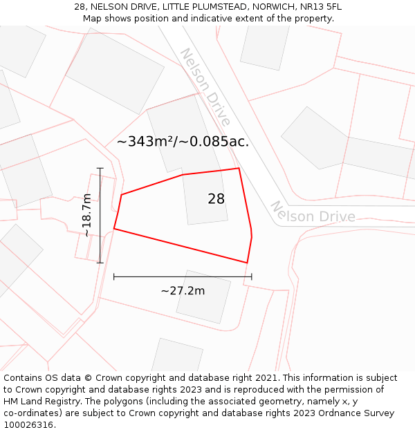 28, NELSON DRIVE, LITTLE PLUMSTEAD, NORWICH, NR13 5FL: Plot and title map