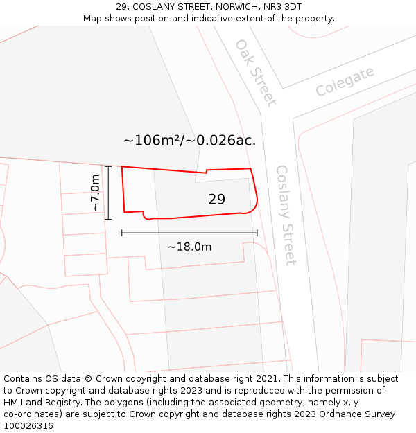 29, COSLANY STREET, NORWICH, NR3 3DT: Plot and title map