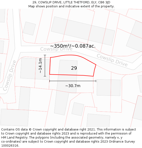 29, COWSLIP DRIVE, LITTLE THETFORD, ELY, CB6 3JD: Plot and title map