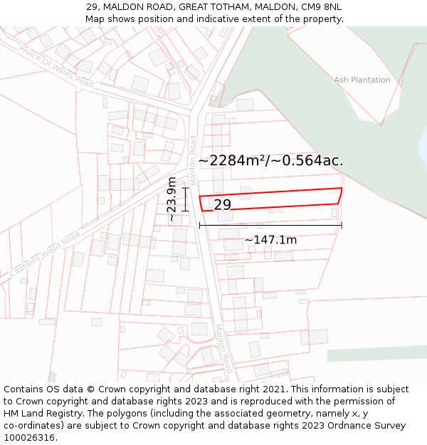 29, MALDON ROAD, GREAT TOTHAM, MALDON, CM9 8NL: Plot and title map