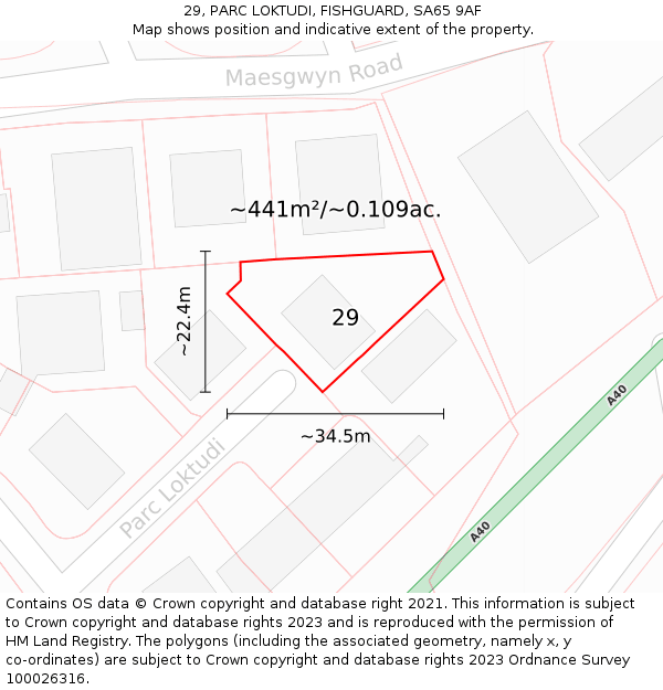 29, PARC LOKTUDI, FISHGUARD, SA65 9AF: Plot and title map