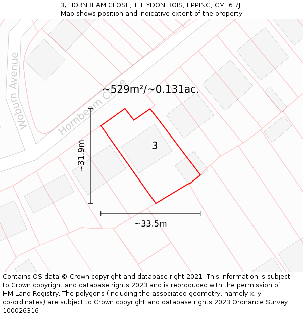 3, HORNBEAM CLOSE, THEYDON BOIS, EPPING, CM16 7JT: Plot and title map