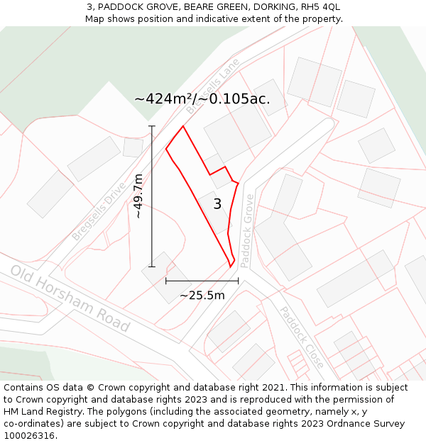 3, PADDOCK GROVE, BEARE GREEN, DORKING, RH5 4QL: Plot and title map