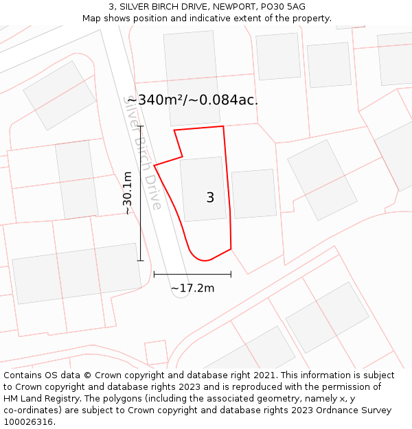 3, SILVER BIRCH DRIVE, NEWPORT, PO30 5AG: Plot and title map