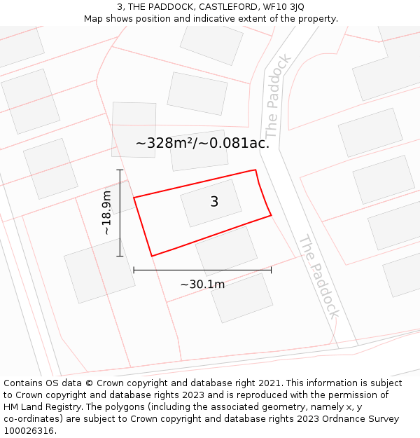 3, THE PADDOCK, CASTLEFORD, WF10 3JQ: Plot and title map