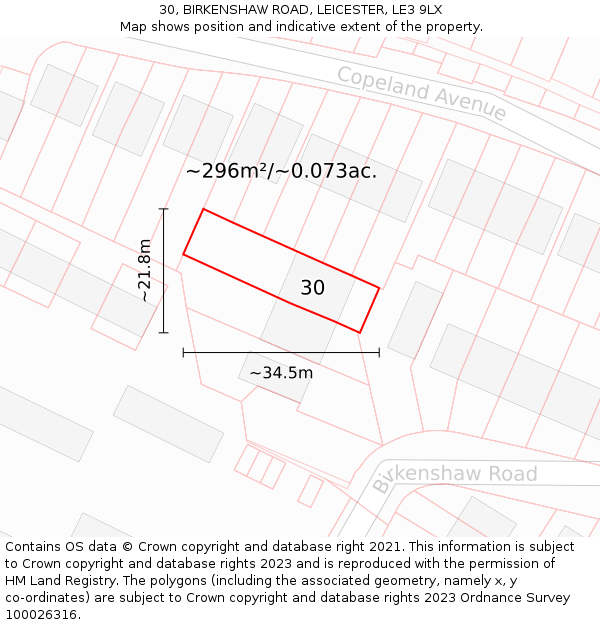 30, BIRKENSHAW ROAD, LEICESTER, LE3 9LX: Plot and title map