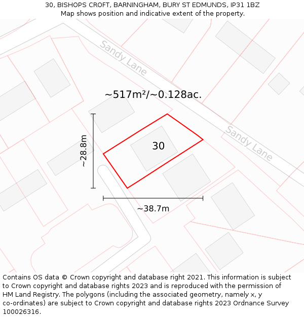 30, BISHOPS CROFT, BARNINGHAM, BURY ST EDMUNDS, IP31 1BZ: Plot and title map