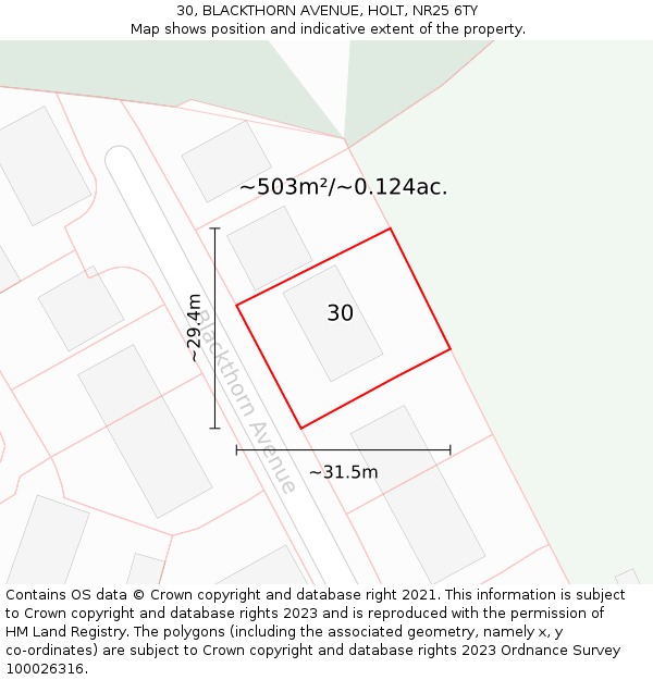 30, BLACKTHORN AVENUE, HOLT, NR25 6TY: Plot and title map