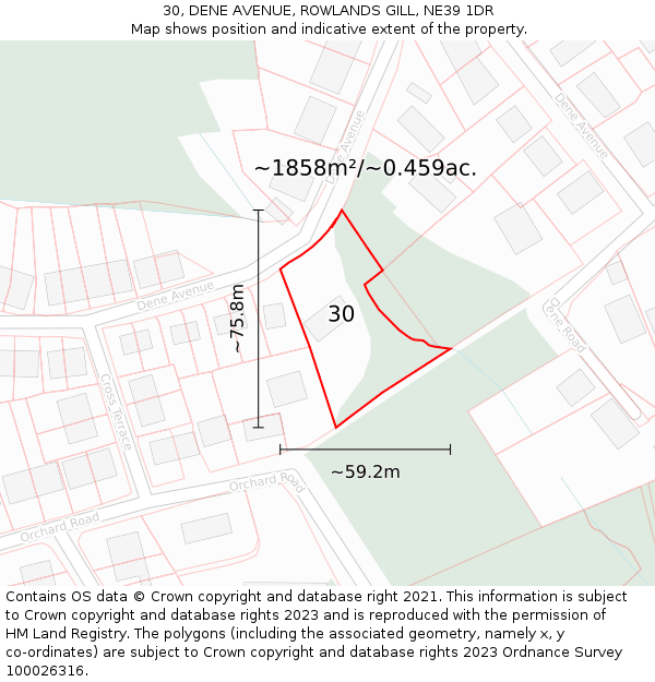 30, DENE AVENUE, ROWLANDS GILL, NE39 1DR: Plot and title map