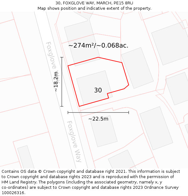 30, FOXGLOVE WAY, MARCH, PE15 8RU: Plot and title map