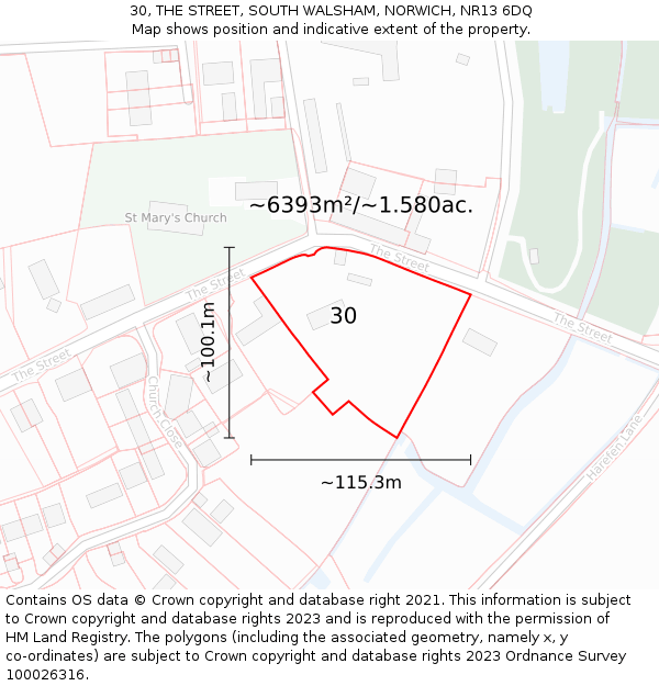 30, THE STREET, SOUTH WALSHAM, NORWICH, NR13 6DQ: Plot and title map