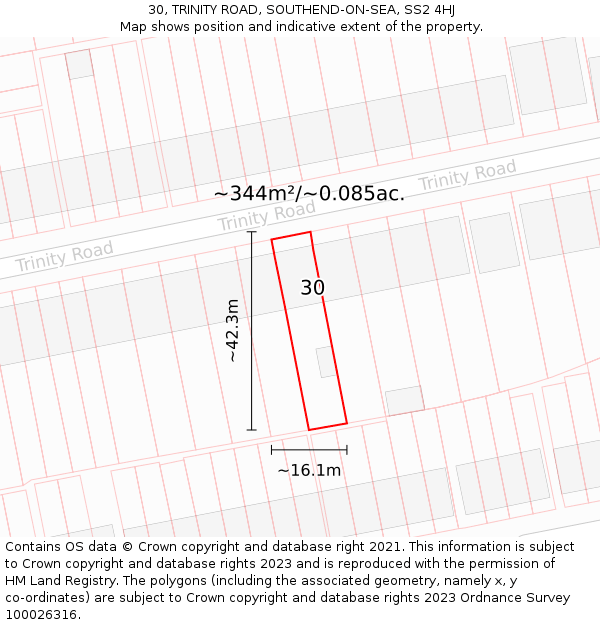 30, TRINITY ROAD, SOUTHEND-ON-SEA, SS2 4HJ: Plot and title map